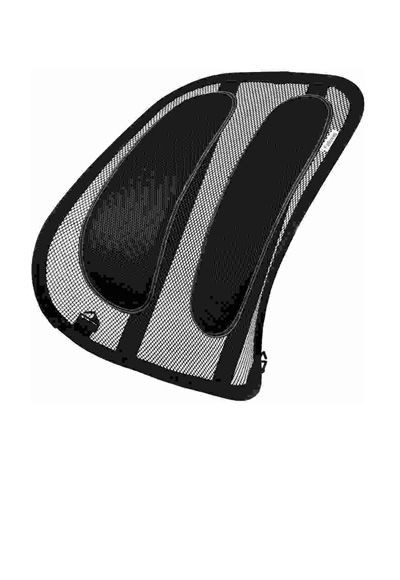 Mesh Back and Lumbar Support